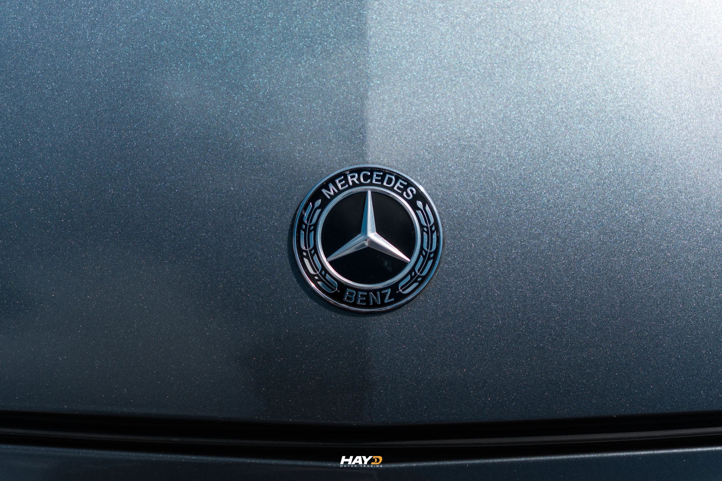 Mercedes-Benz E350e AMG photo
